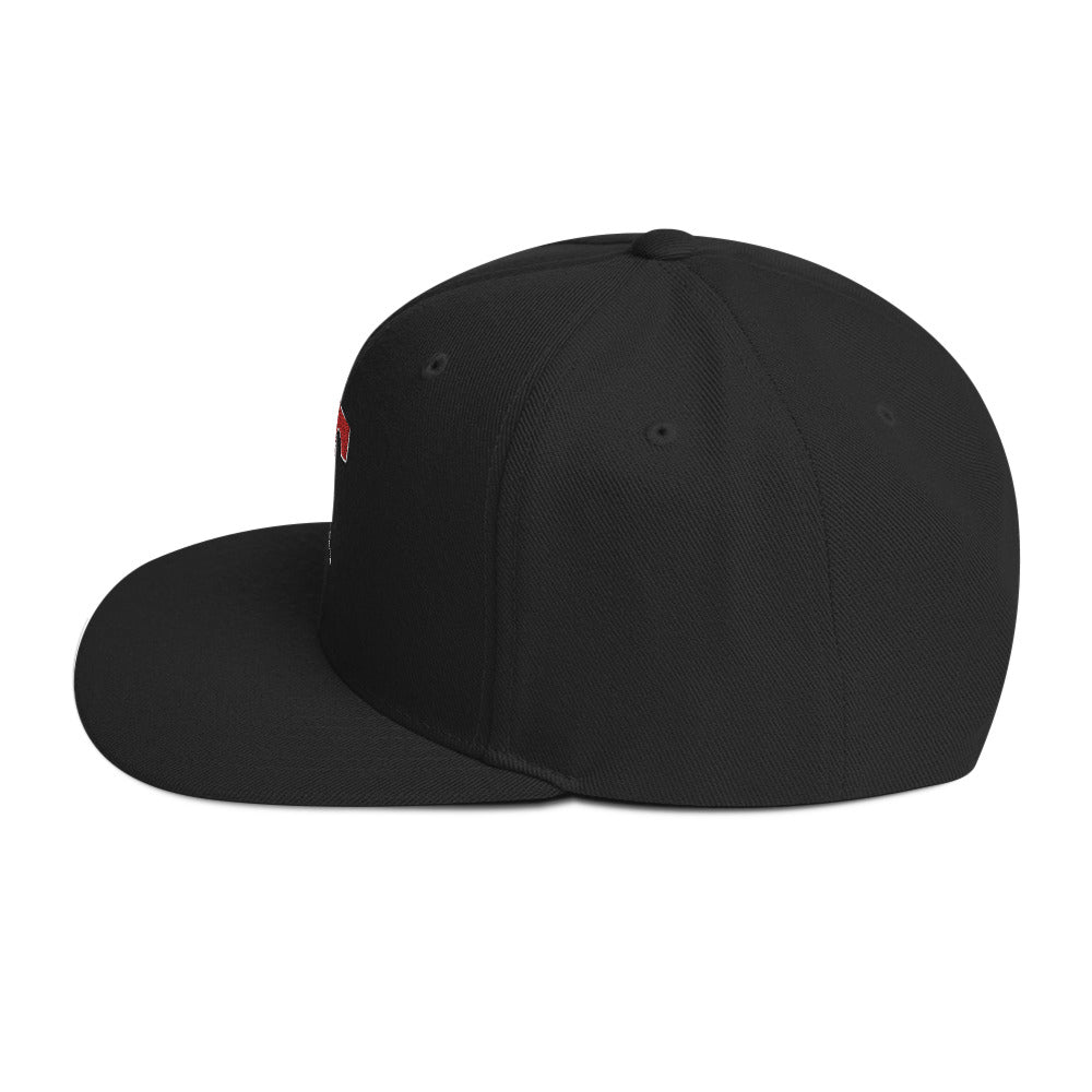 Snapback Hat Embroidered Triton Logo