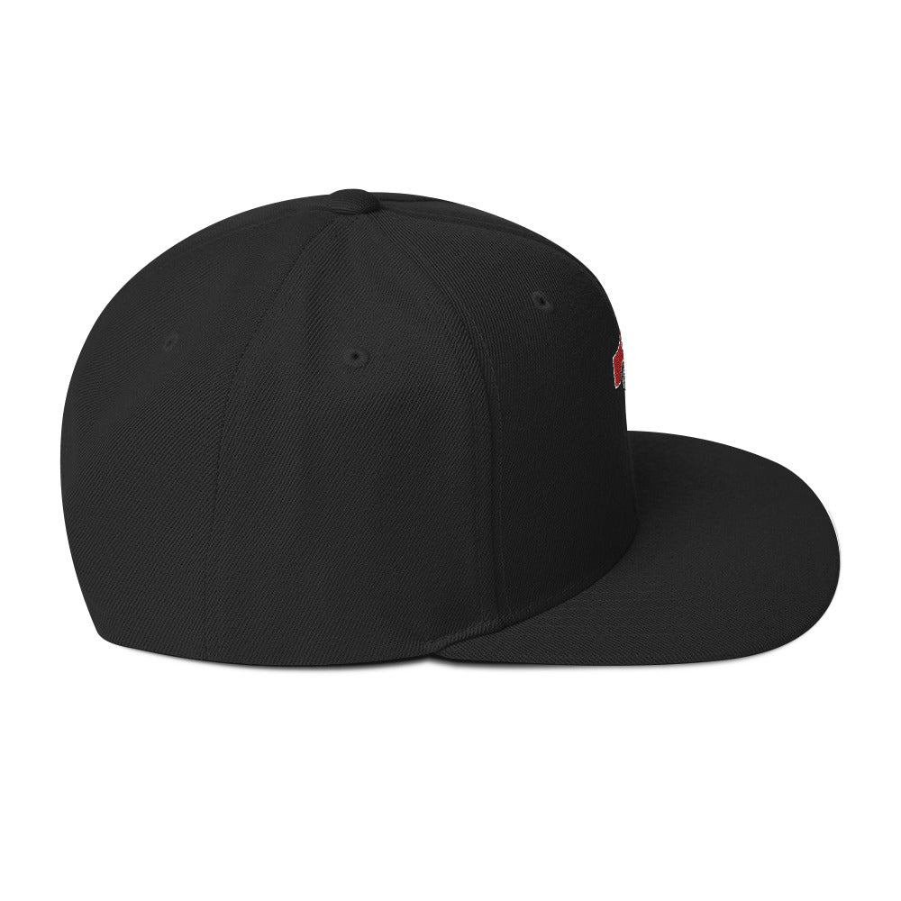 Snapback Hat Embroidered Triton Logo